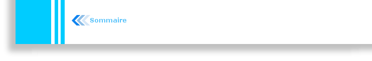Aller au Sommaire